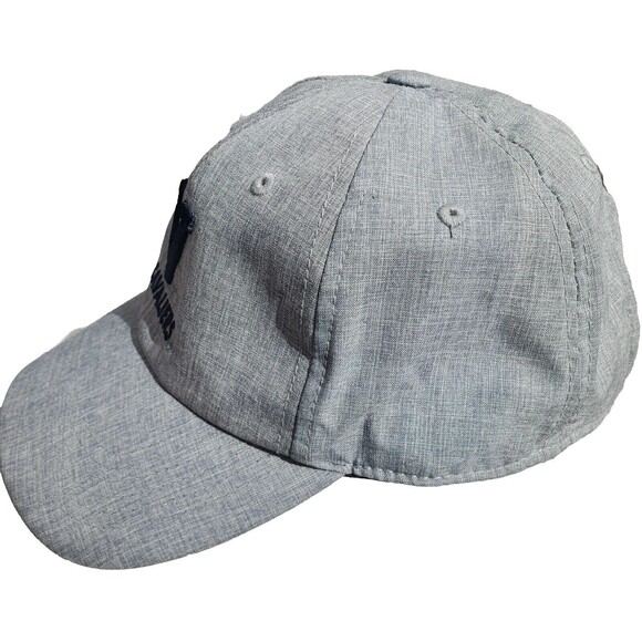 Virginia Cavaliers Hat Cap Strap Back Gray College Football NCAA Mens Captivatng - Picture 2 of 8